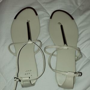 Classy Flip Flops